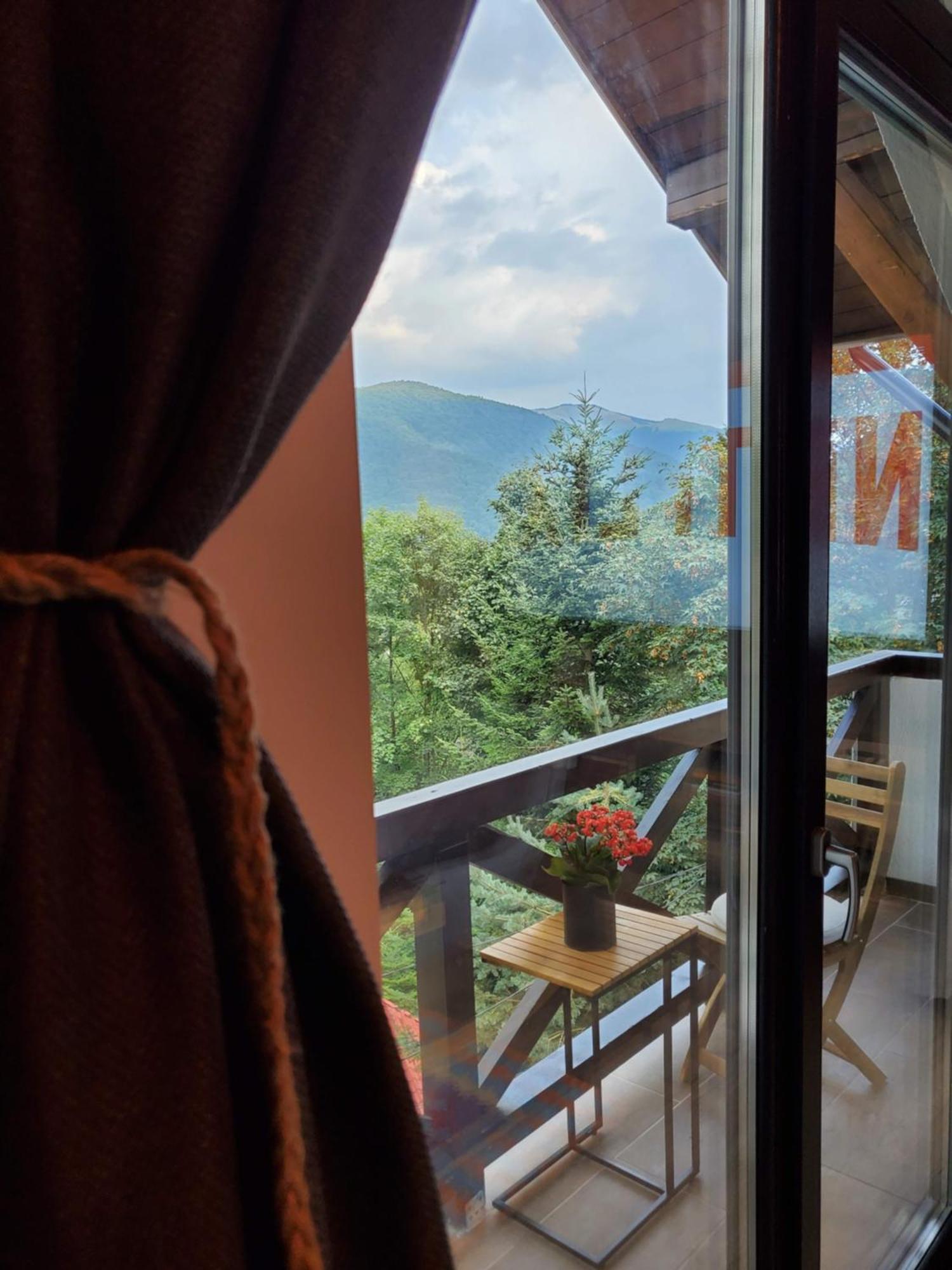 Casa Larisa Antonia Apartament *